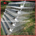 Quail Farming Cage Manufacturer